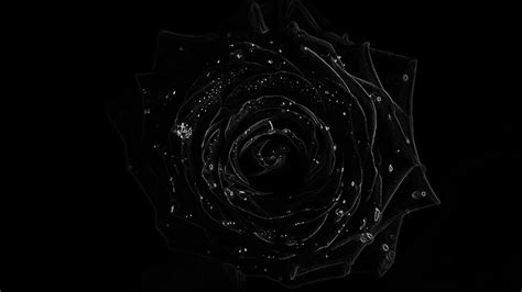 laptop wallpaper black|Best Wallpapers For Laptop .